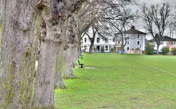 Fairfield Recreation Ground Kingston Tree Orchard
